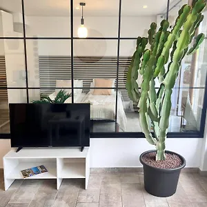 Apartment Cactus, Playa Fanabe